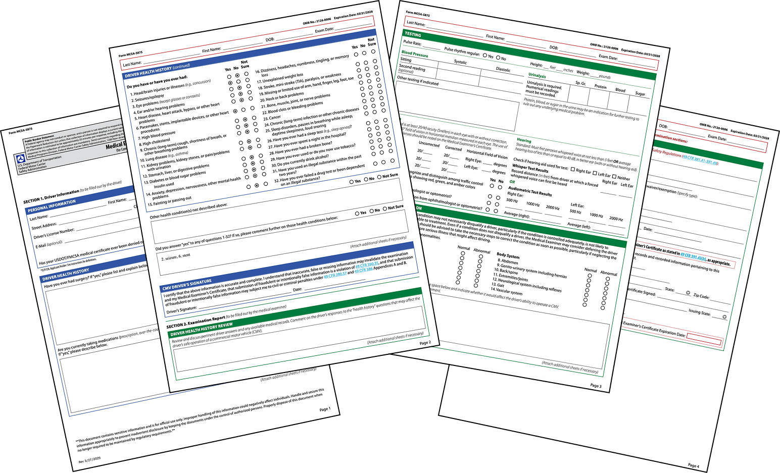 Example of paper DOT forms
